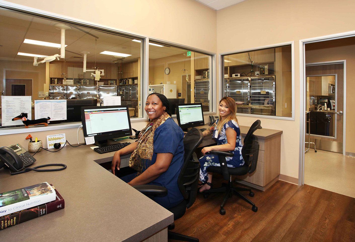 Hospital Tour BrightCare Animal Neurology and Imaging