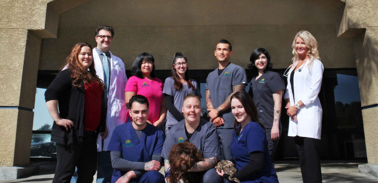 Hospital Tour BrightCare Animal Neurology and Imaging