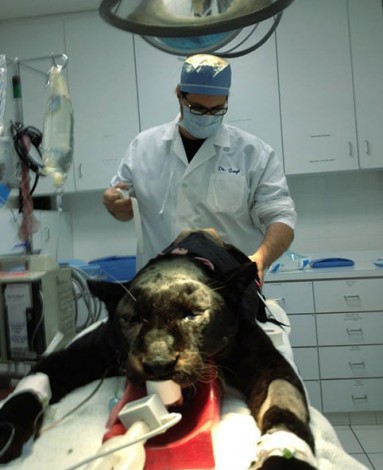 doctor-13