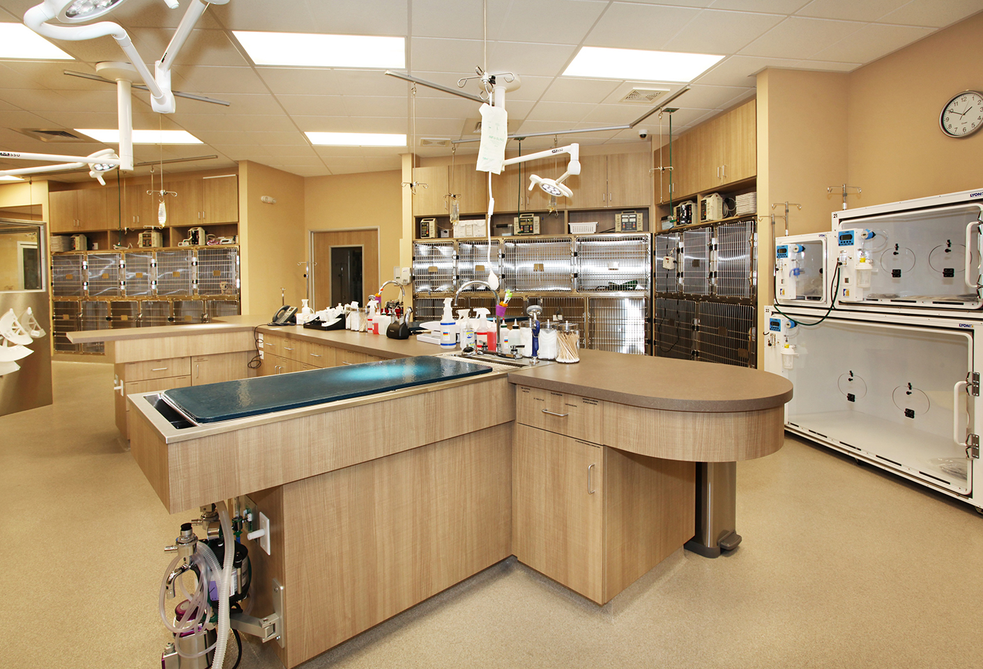 Hospital Tour