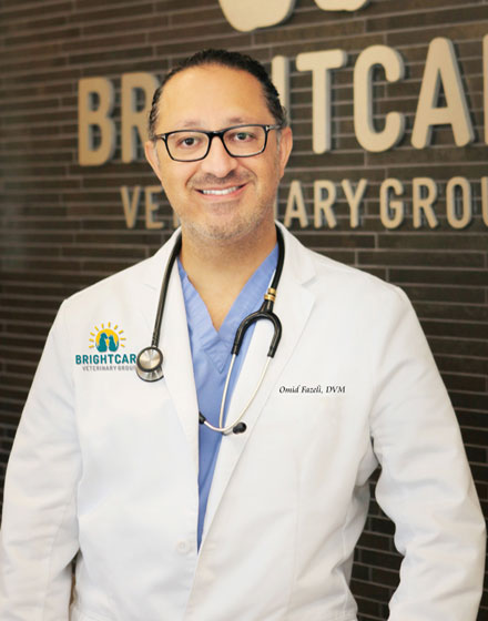 Dr. Omid Fazeli - Bright Care Animal ER