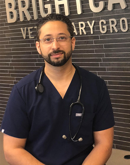 Dr.Omar-El-Taliawi - Bright Care Animal ER